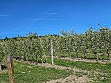 TOV Scharten (35)